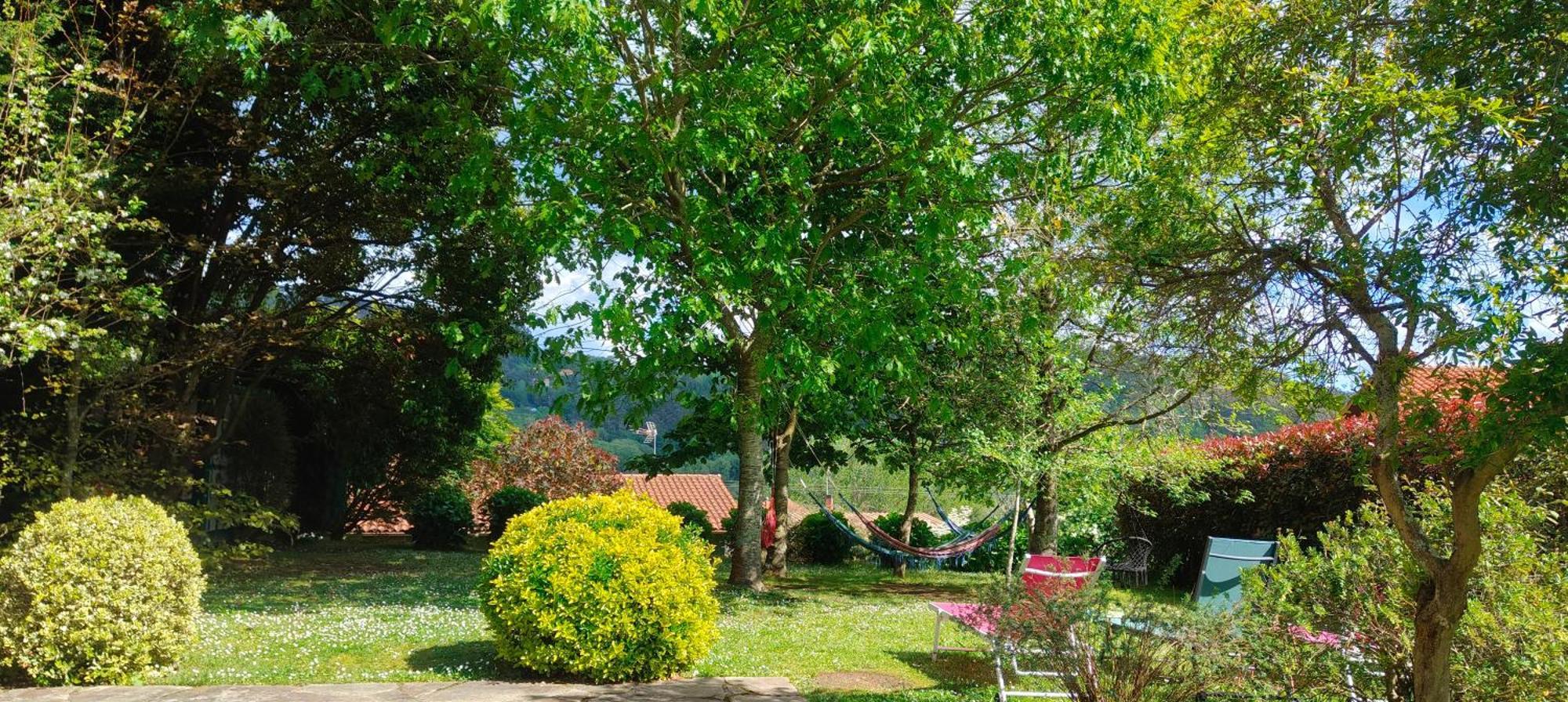 Rosa Jove Appartamento
