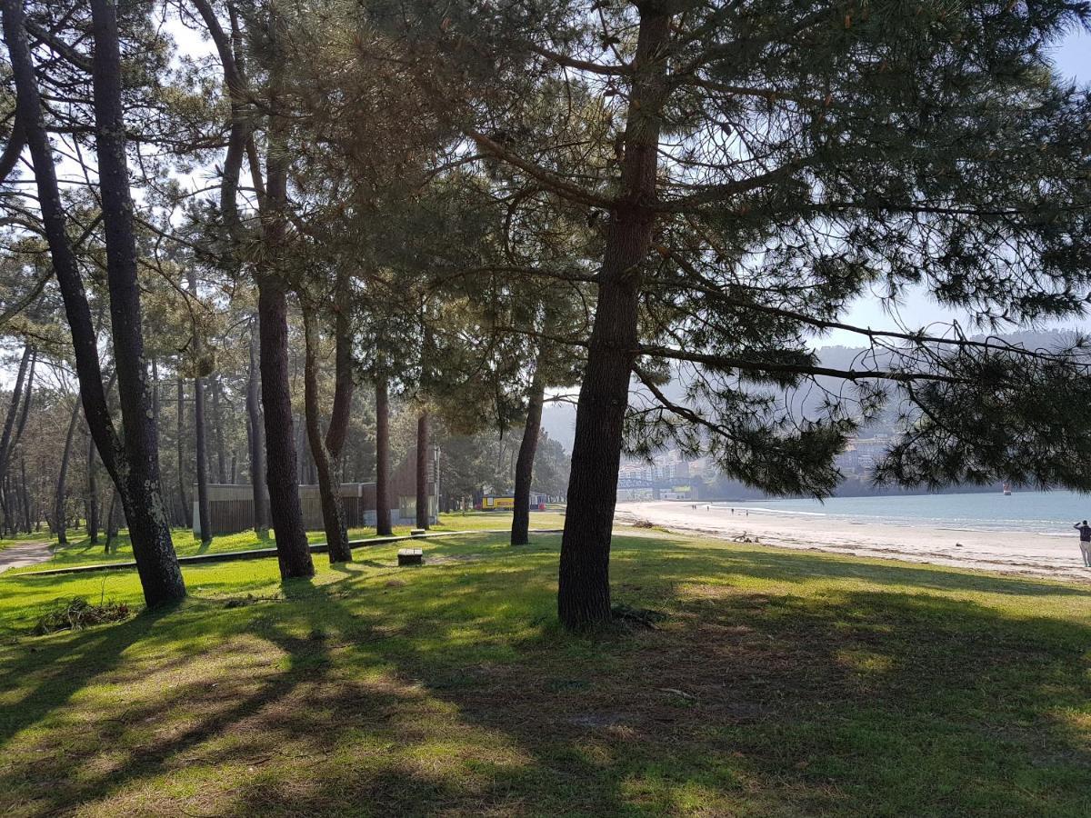 Rosa Jove Apartament